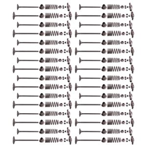 Ford Cobra Jet Valve Train Kit - Ford Racing - Cobra Jet 5.2L Titanium - 2018